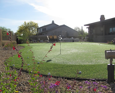 Tom Schroeder designed backyard putting green