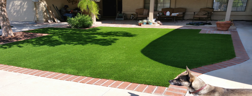 Dog by artificial grass yard