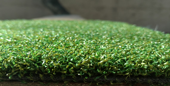 Putting Green style artificial grass